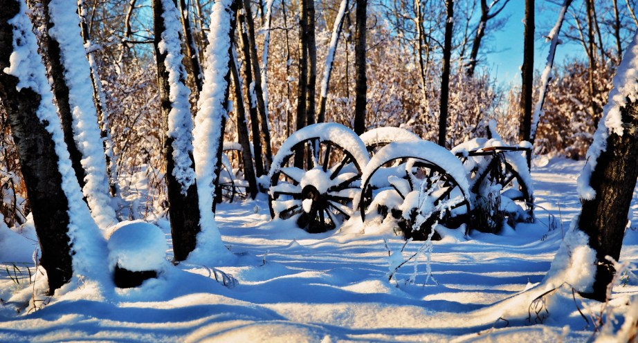 McNaught Homestead Wheels - Beaverlodge, Alberta