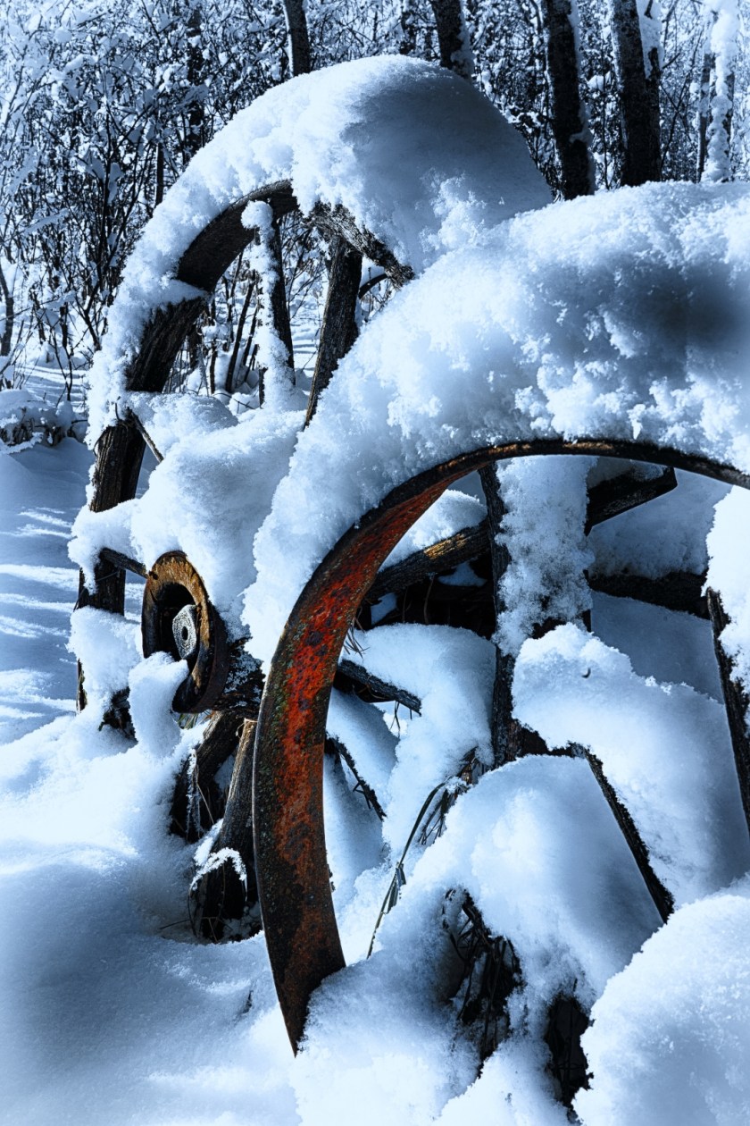 Wagon Wheels - McNaught Homestead, Beaverlodge, Alberta 1