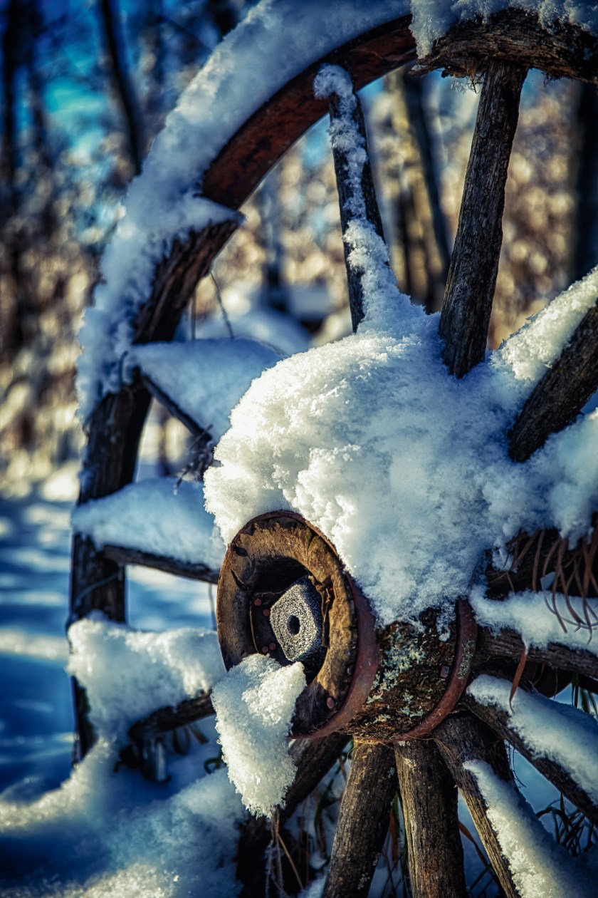 Wagon Wheel - McNaught Homestead, Beaverlodge, Alberta 3