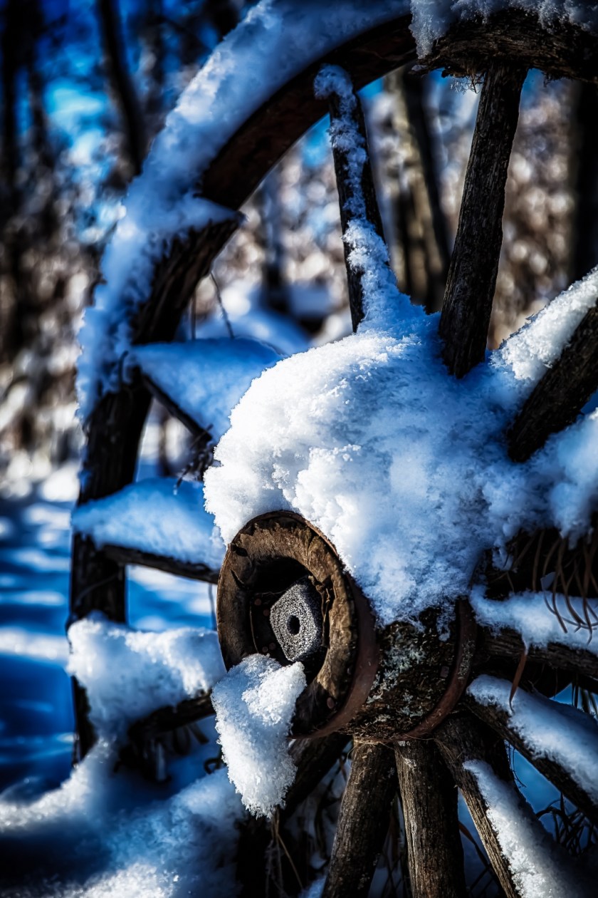 Wagon Wheel - McNaught Homestead, Beaverlodge, Alberta 4
