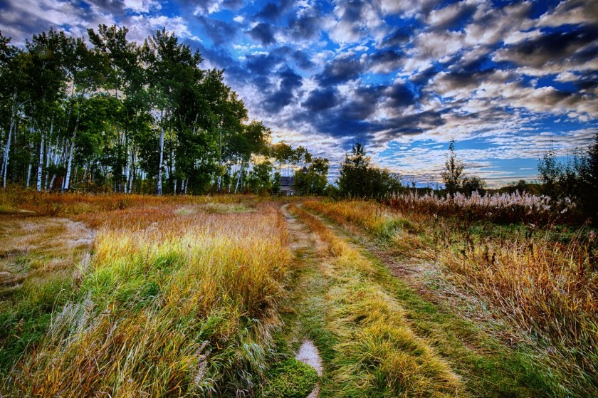 Desaturation -St. Louis Mission - Buttertown, Alberta 1