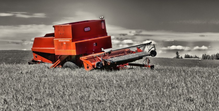 International Combine - Whitecourt, Alberta 3