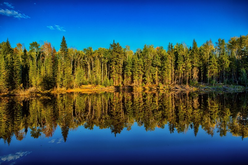 Slough Reflection - Near Indian Cabins, Ab