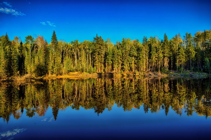 Slough Reflection - Near Indian Cabins, Ab