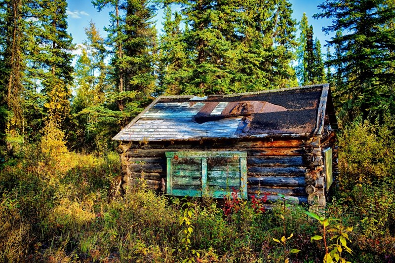 Trapper's Cabin - Near Indian Cabins, Ab 2
