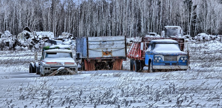 Farm Trucks - Manning, Alberta 3