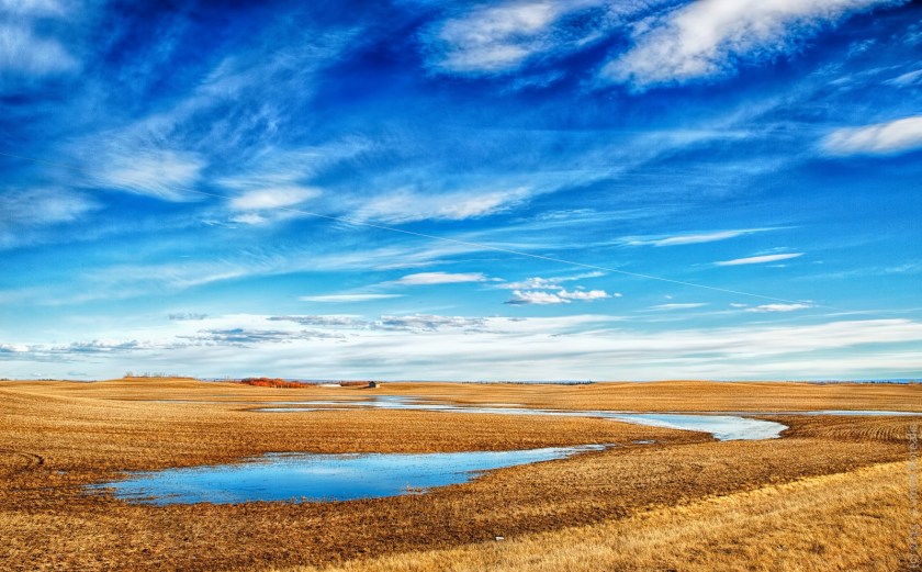Spring's Rolling Hills - Near Rycroft, Alberta - Canada 1