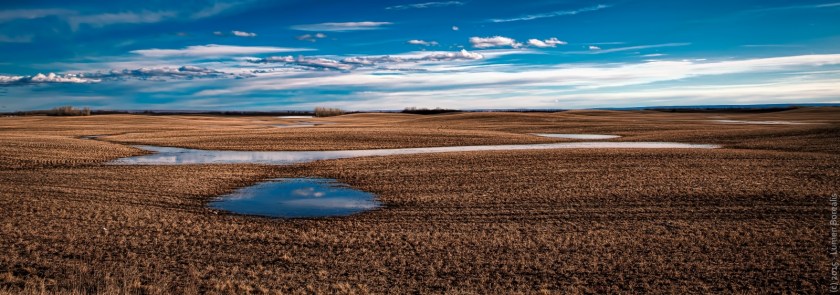Spring's Rolling Hills - Near Rycroft, Alberta - Canada 2