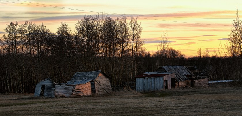 Homestead - La Glace, Alberta - Canada 1