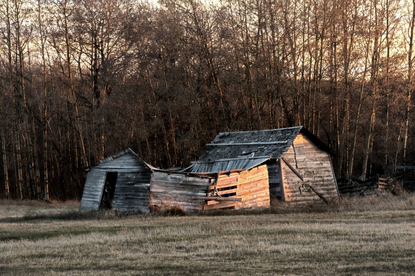 Homestead - La Glace, Alberta - Canada 2