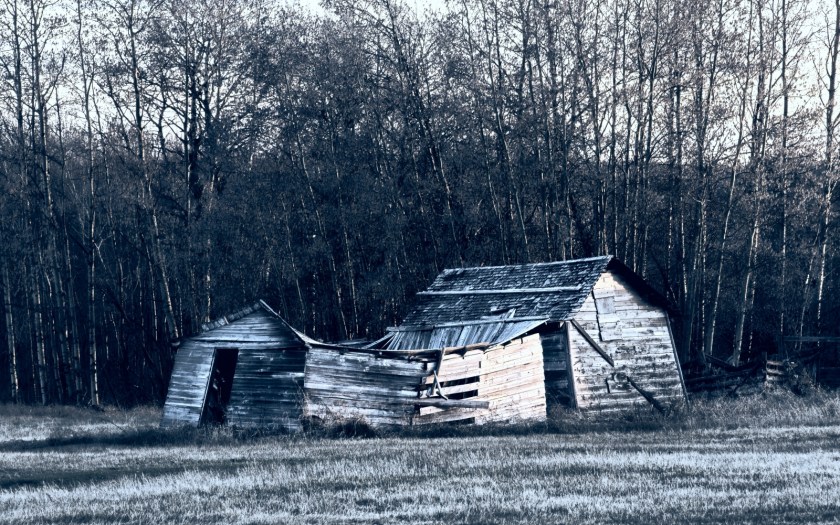 Homestead - La Glace, Alberta - Canada 3