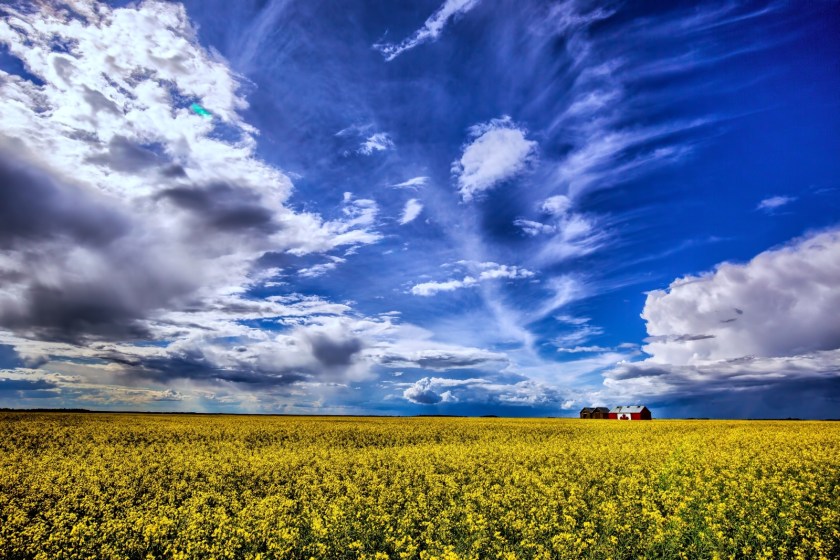Canadian Grain Bin - Guy, Alberta, Canada 1