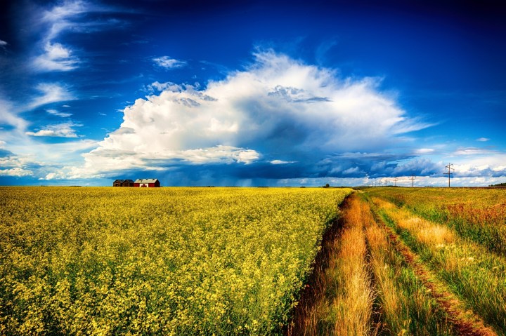 Canadian Grain Bin - Guy, Alberta, Canada 2