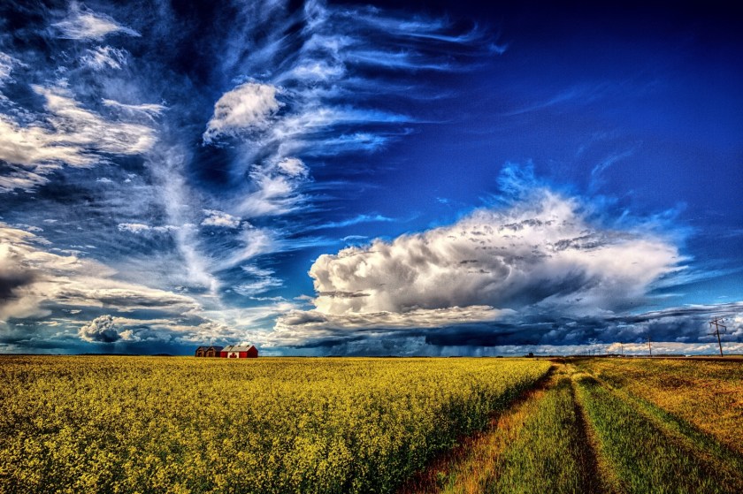 Canadian Grain Bin - Guy, Alberta i