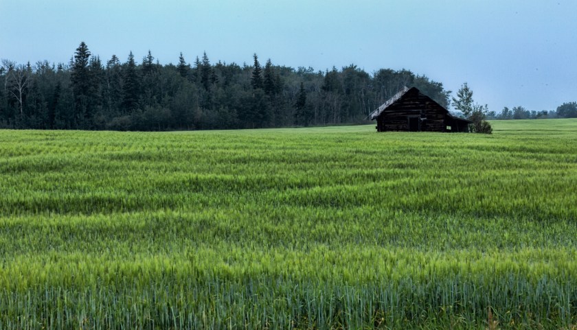 Homestead - La Glace, Alberta, Canada