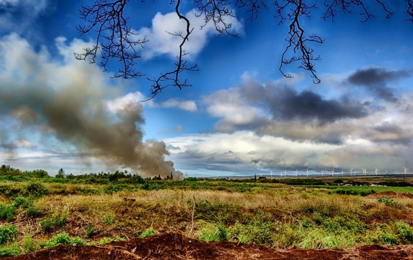 Plantation Fire - Haleiwa, Oahu
