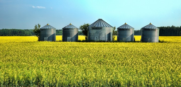 Westeel Grain Bins - Warrensville, Alberta, Canada