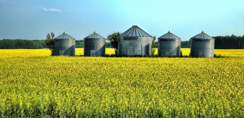 Westeel Grain Bins - Warrensville, Alberta, Canada