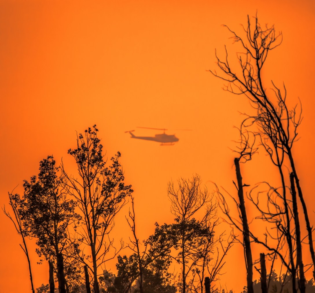 Wildfire - 10km South - High Level, Ab 2