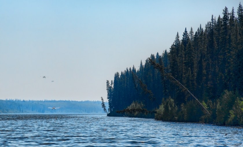 Wildfire - Hutch Lake, Alberta, Canada - 1