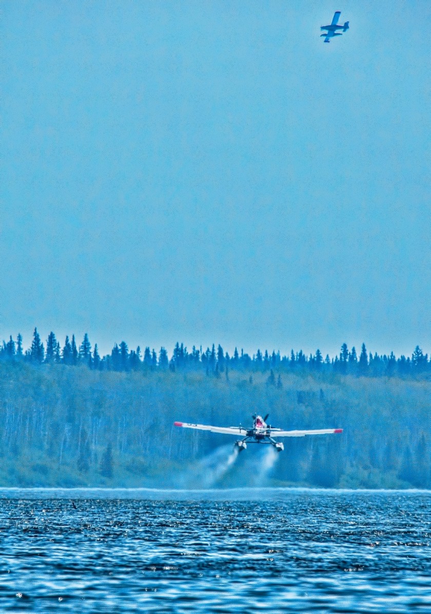 Wildfire - Hutch Lake, Alberta, Canada - 14