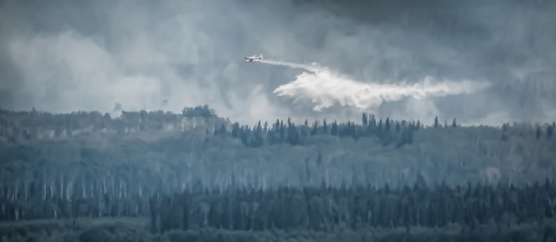 Wildfire - Hutch Lake, Alberta, Canada - 16