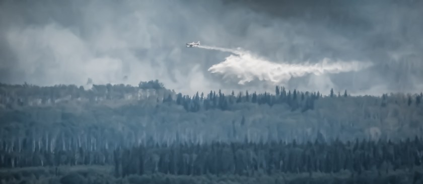 Wildfire - Hutch Lake, Alberta, Canada - 16