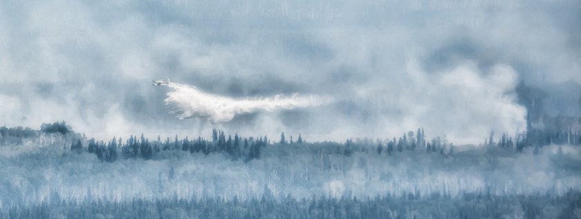 Wildfire - Hutch Lake, Alberta, Canada - 17