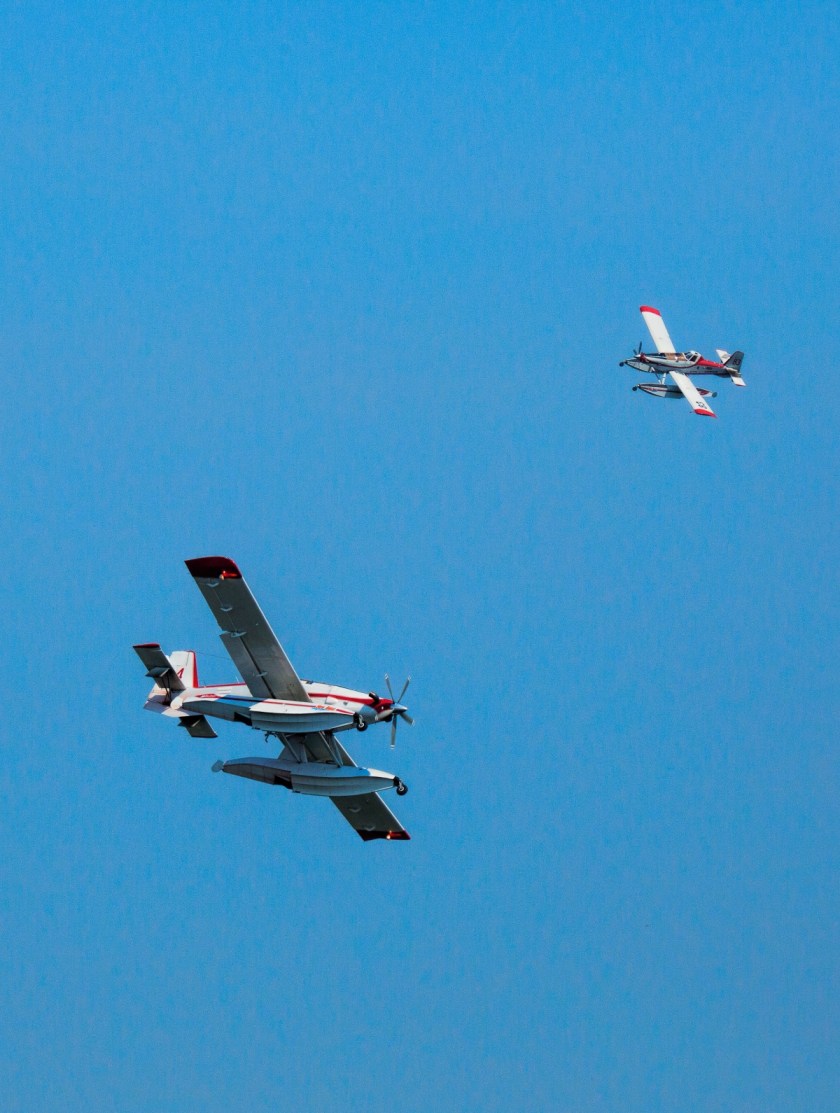 Wildfire - Hutch Lake, Alberta, Canada - 6