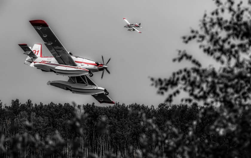 Wildfire - Hutch Lake, Alberta, Canada - 7