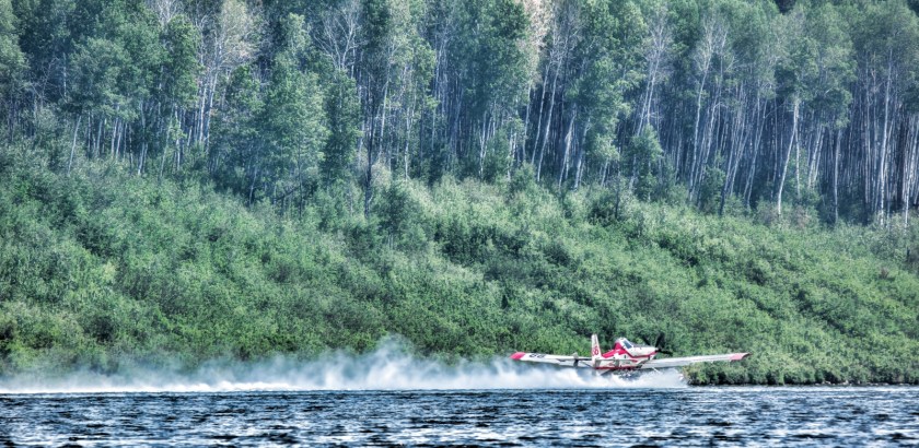 Wildfire - Hutch Lake, Alberta, Canada - 9