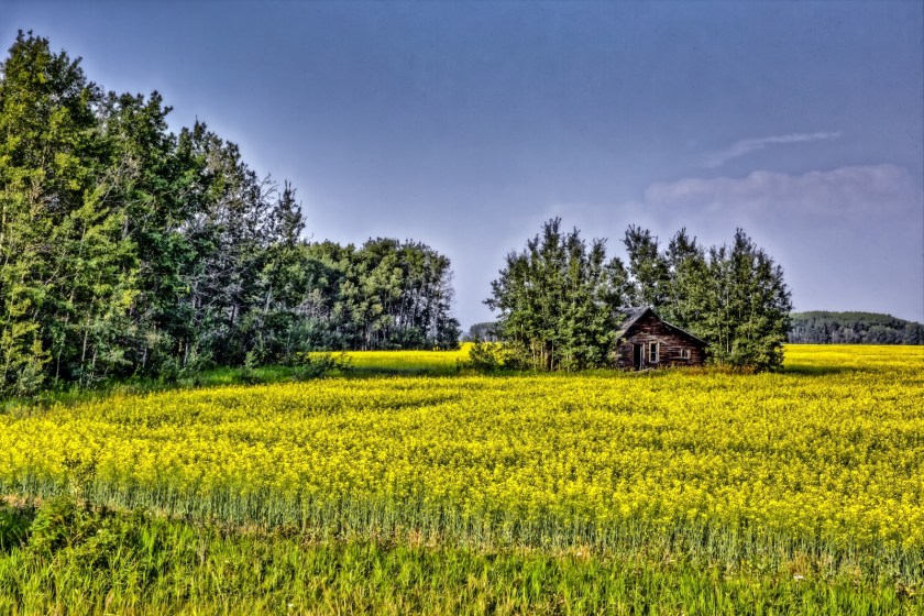 Fairview Homestead HDR i-Edit-Edit-Edit