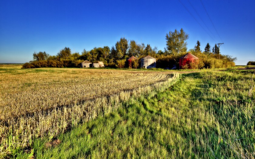 Grain Bins - Stettler, Alberta