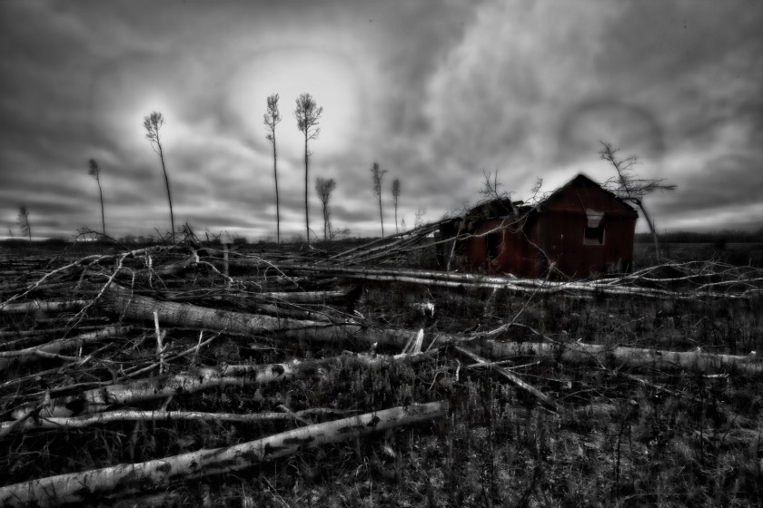 Strewn Timber - Rocky Lane, Alberta - Canada i