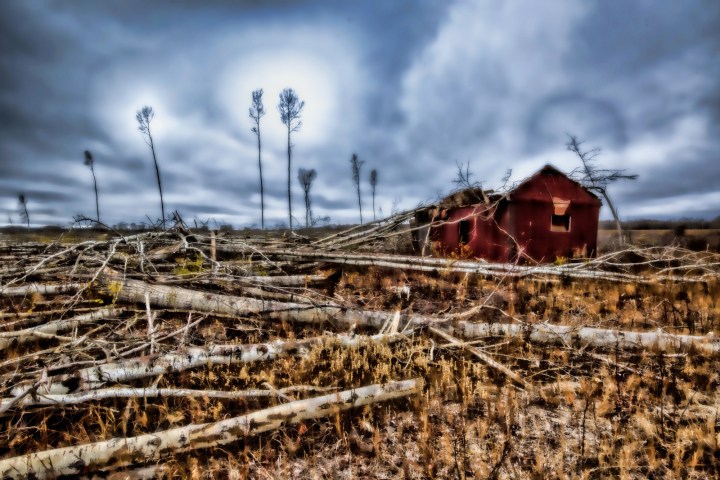 Strewn Timber - Rocky Lane, Alberta - Canada ii