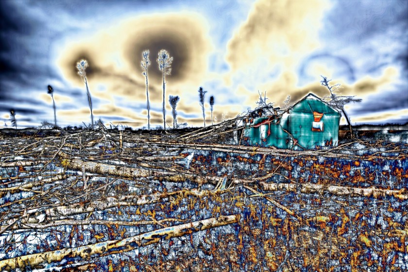 Strewn Timber - Rocky Lane, Alberta - Canada iii