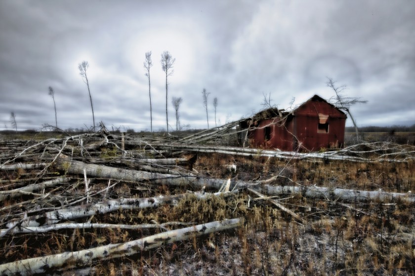 Strewn Timber - Rocky Lane, Alberta - Canada iv