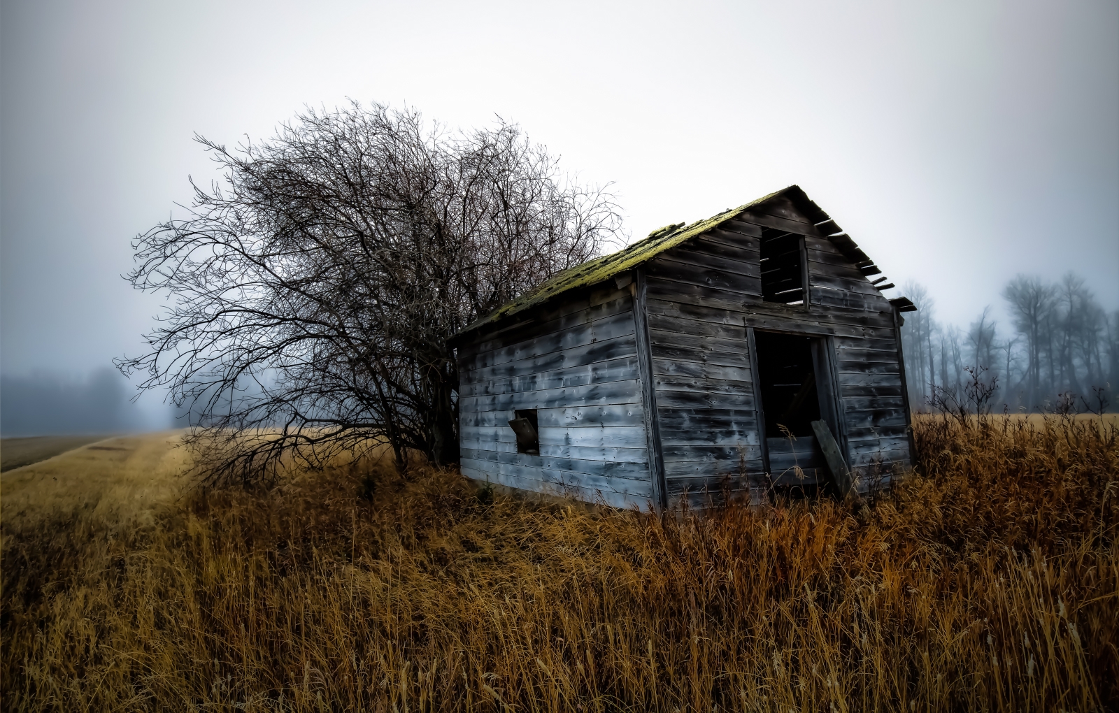 Foggy Granary - Dixonville, Ab - Canada i