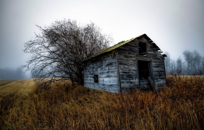 Foggy Granary - Dixonville, Ab - Canada i
