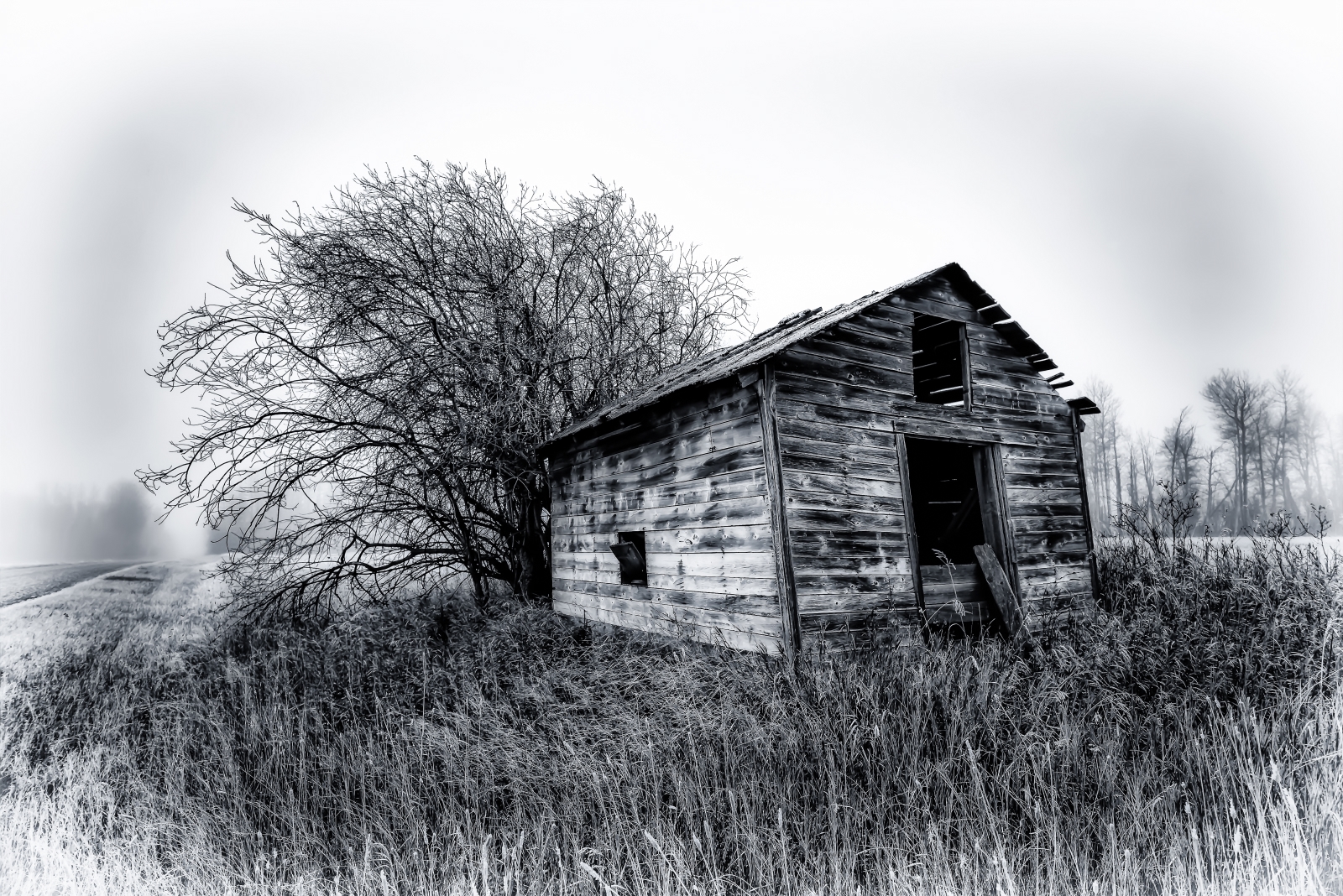 Foggy Granary - Dixonville, Ab - Canada ii