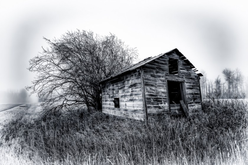 Foggy Granary - Dixonville, Ab - Canada ii
