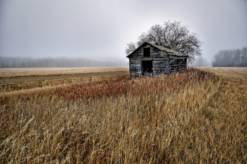 Foggy Granary - Dixonville, Ab - Canada iii
