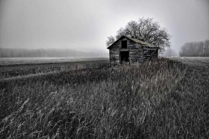 Foggy Granary - Dixonville, Ab - Canada iv