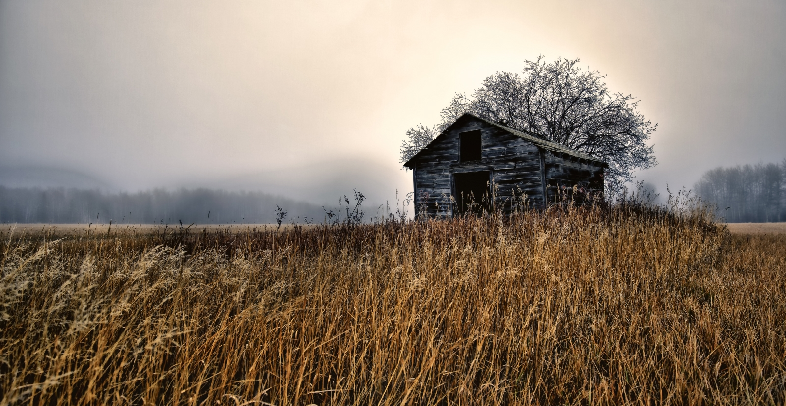 Granary in Fog - Dixonville, Ab - Canada i