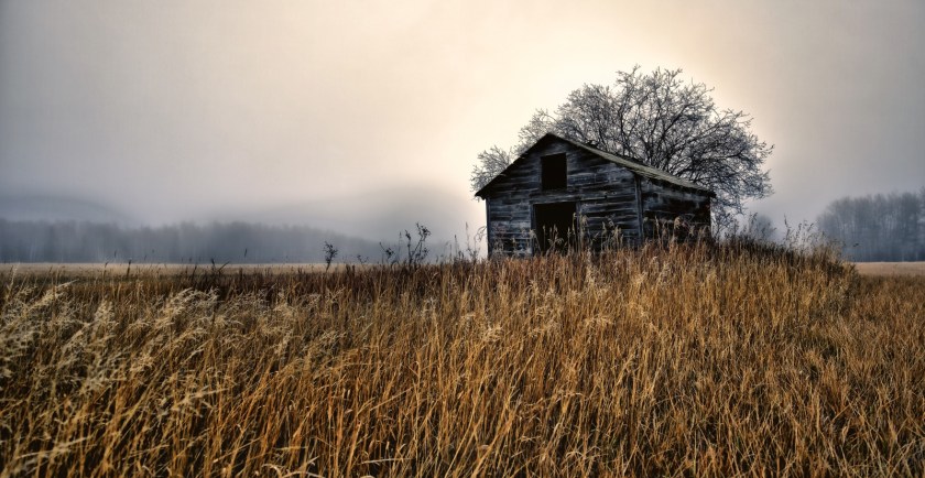 Granary in Fog - Dixonville, Ab - Canada i
