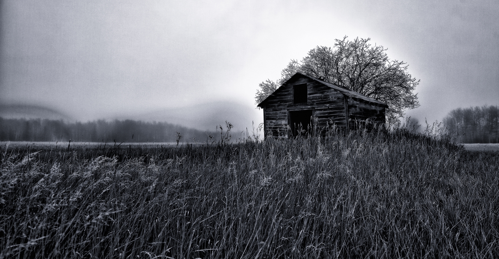 Granary in Fog - Dixonville, Ab - Canada ii