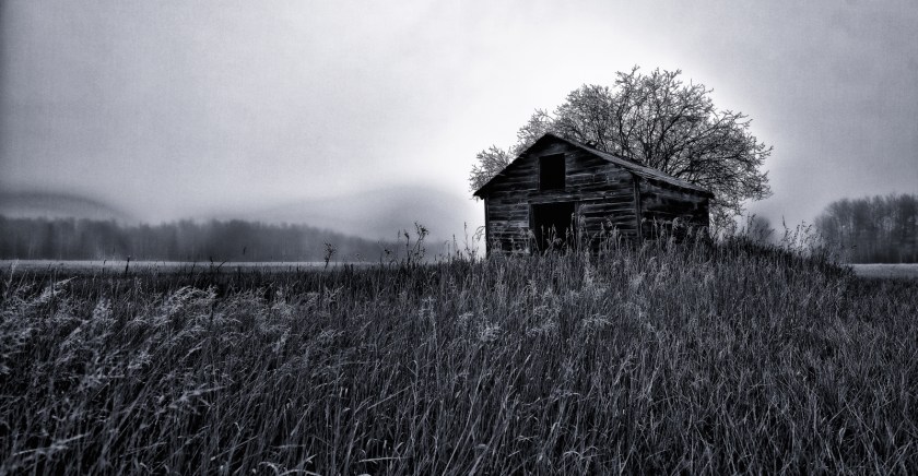Granary in Fog - Dixonville, Ab - Canada ii