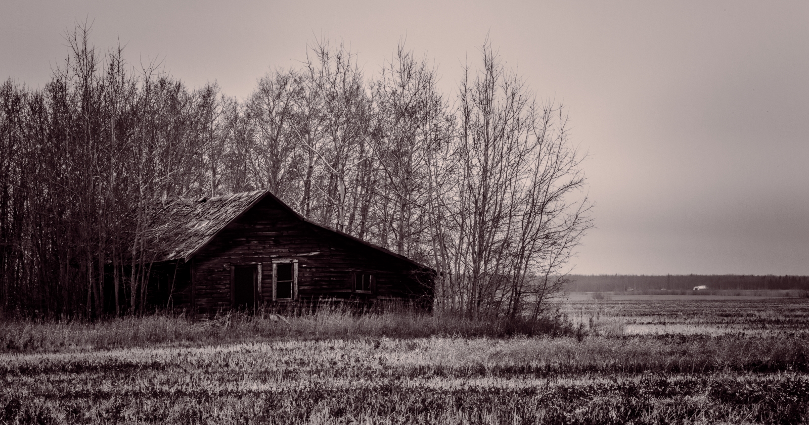 Homestead in Fall - Fairview, Alberta - Canada 2