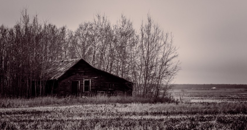 Homestead in Fall - Fairview, Alberta - Canada 2
