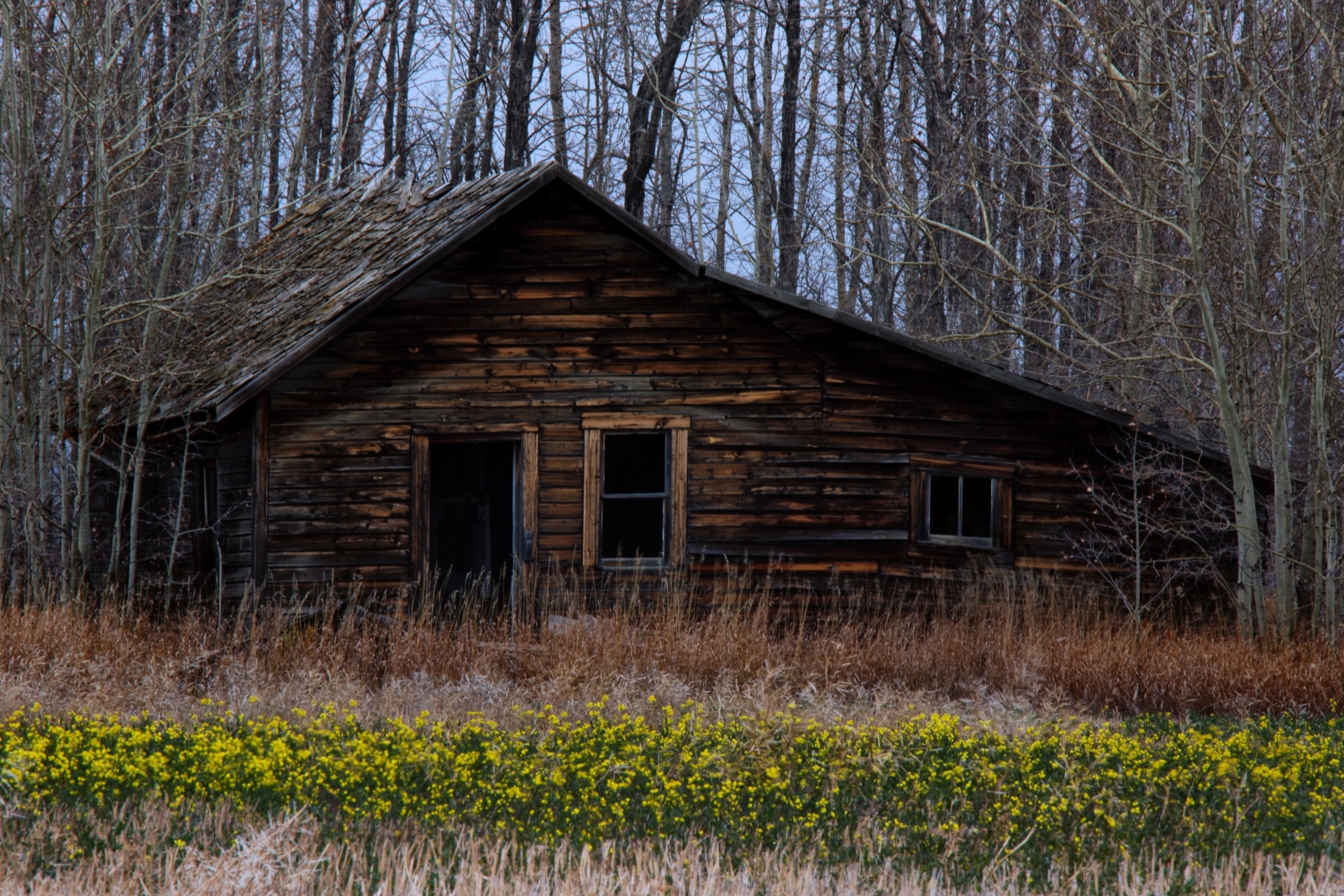 Homestead in Late Fall - Fairview, Ab i